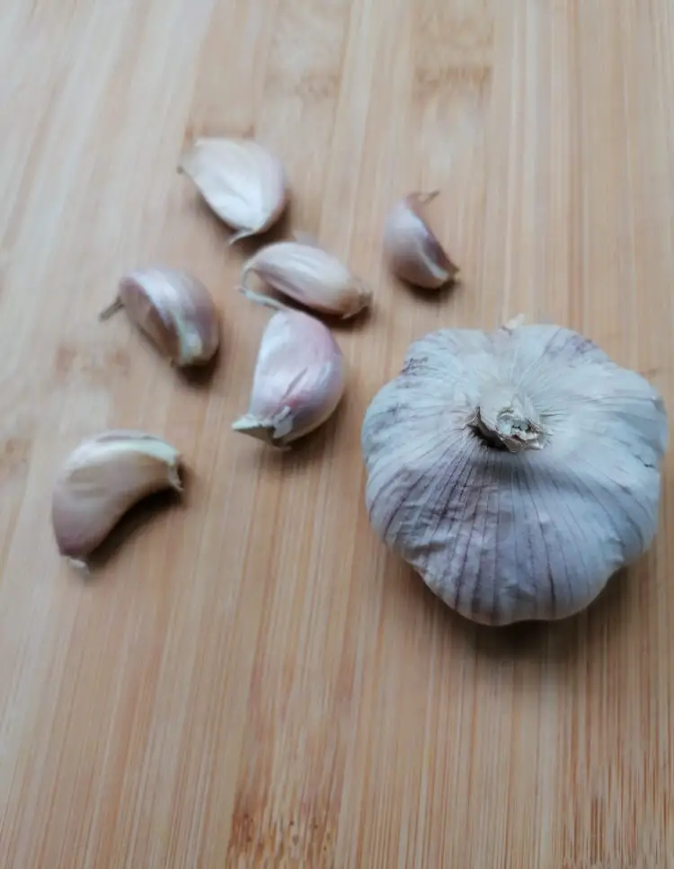 Is Garlic Powder Low FODMAP? 4 Garlic Substitutes For IBS